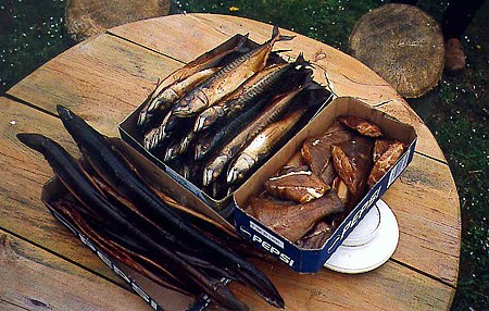 Foto aus der Fotogruppe 